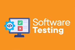 Software Testing